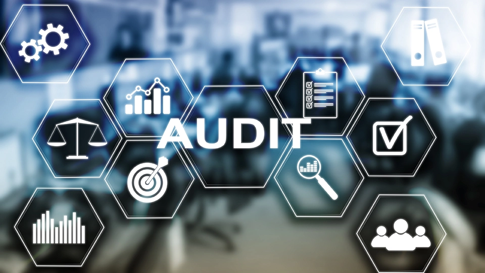 Audit Challenges